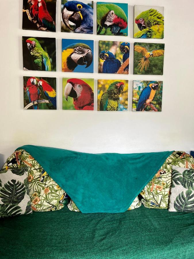 Hostel Papagaio Илья-Гранди Экстерьер фото